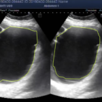 Screenshot 2025-02-24 at 22.04.45